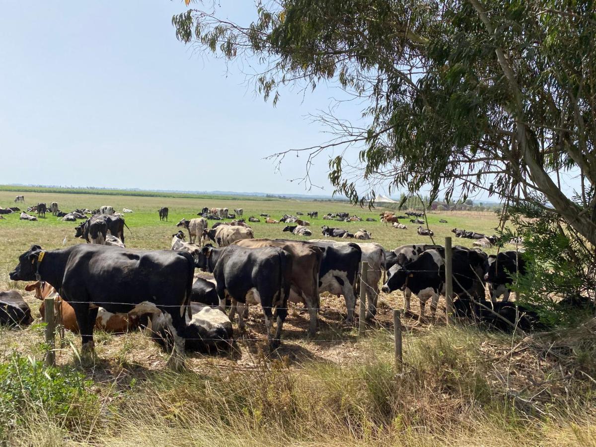 Casa Do Brejao Campo E Praia Odemira Zewnętrze zdjęcie