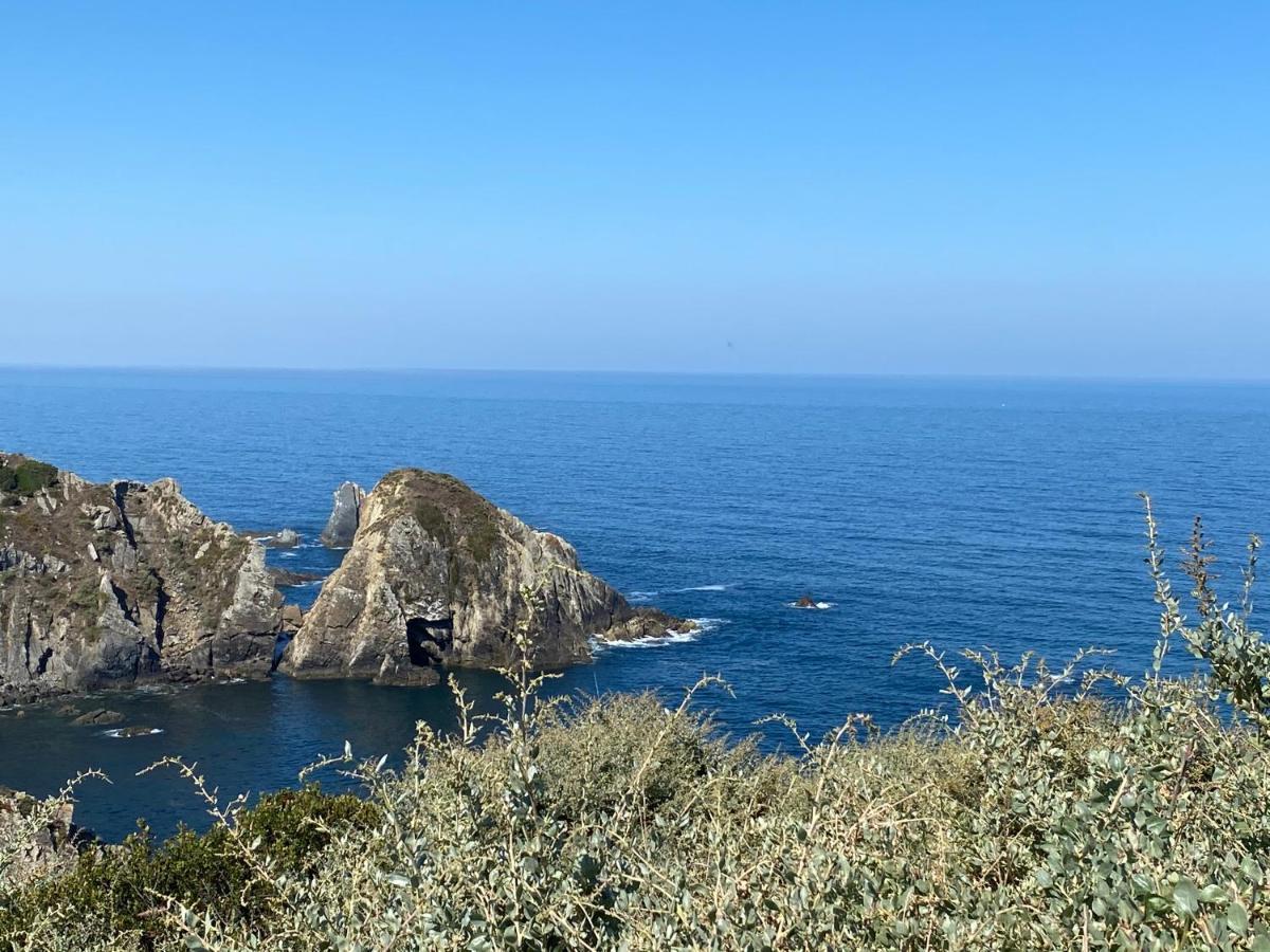 Casa Do Brejao Campo E Praia Odemira Zewnętrze zdjęcie