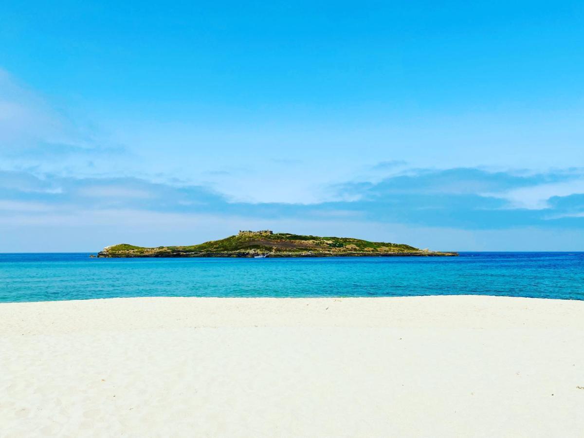 Casa Do Brejao Campo E Praia Odemira Zewnętrze zdjęcie