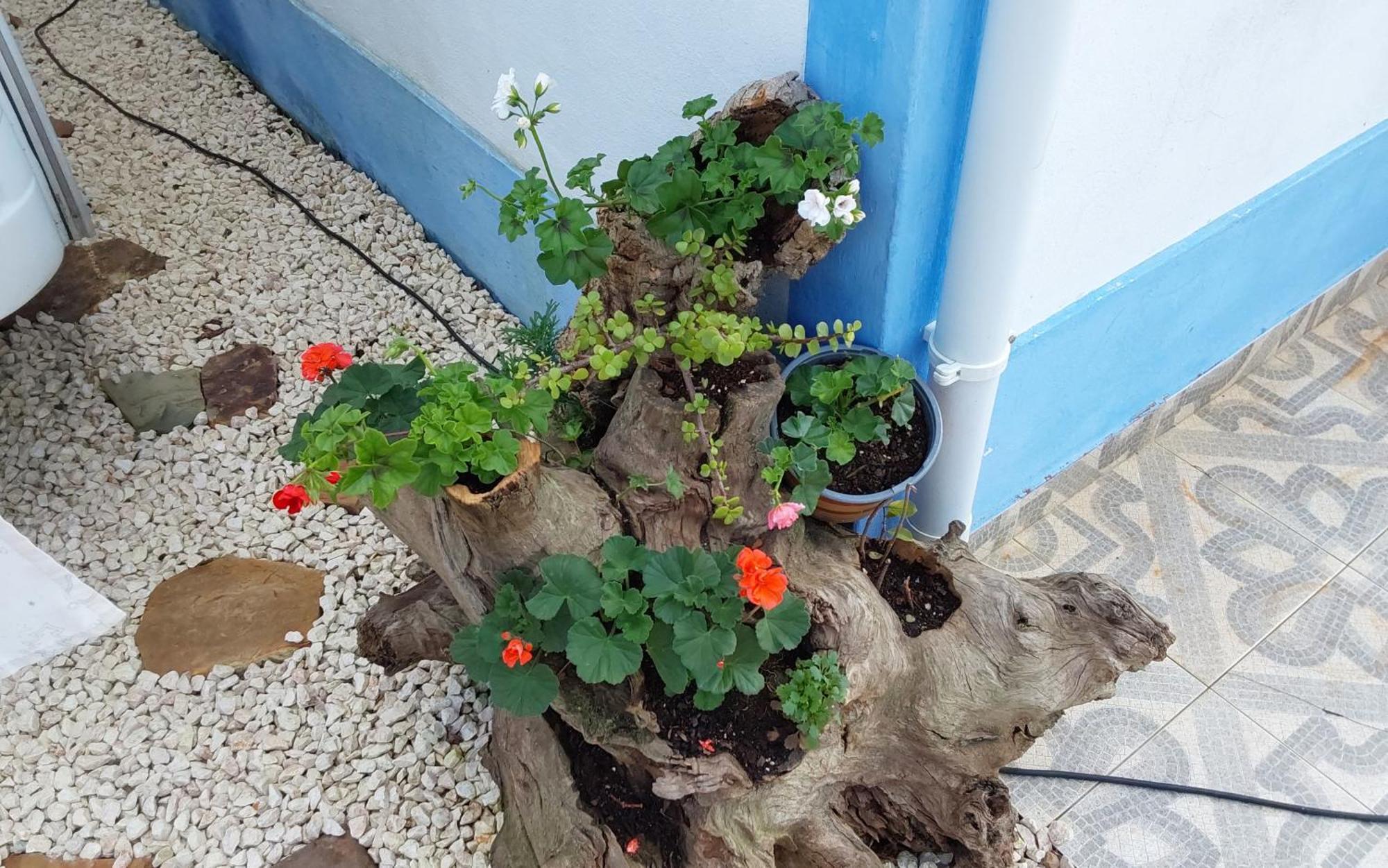 Casa Do Brejao Campo E Praia Odemira Zewnętrze zdjęcie