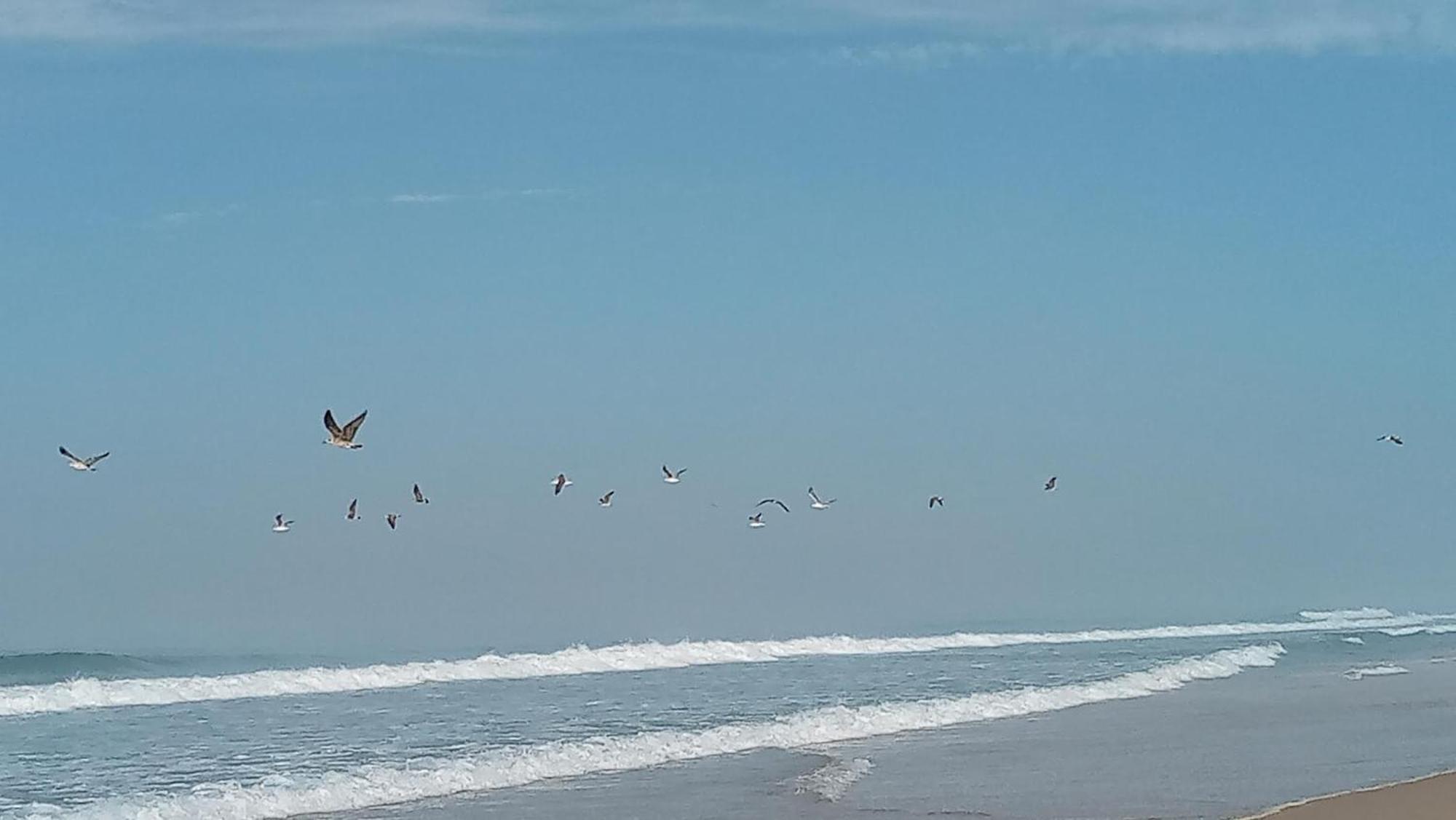 Casa Do Brejao Campo E Praia Odemira Zewnętrze zdjęcie