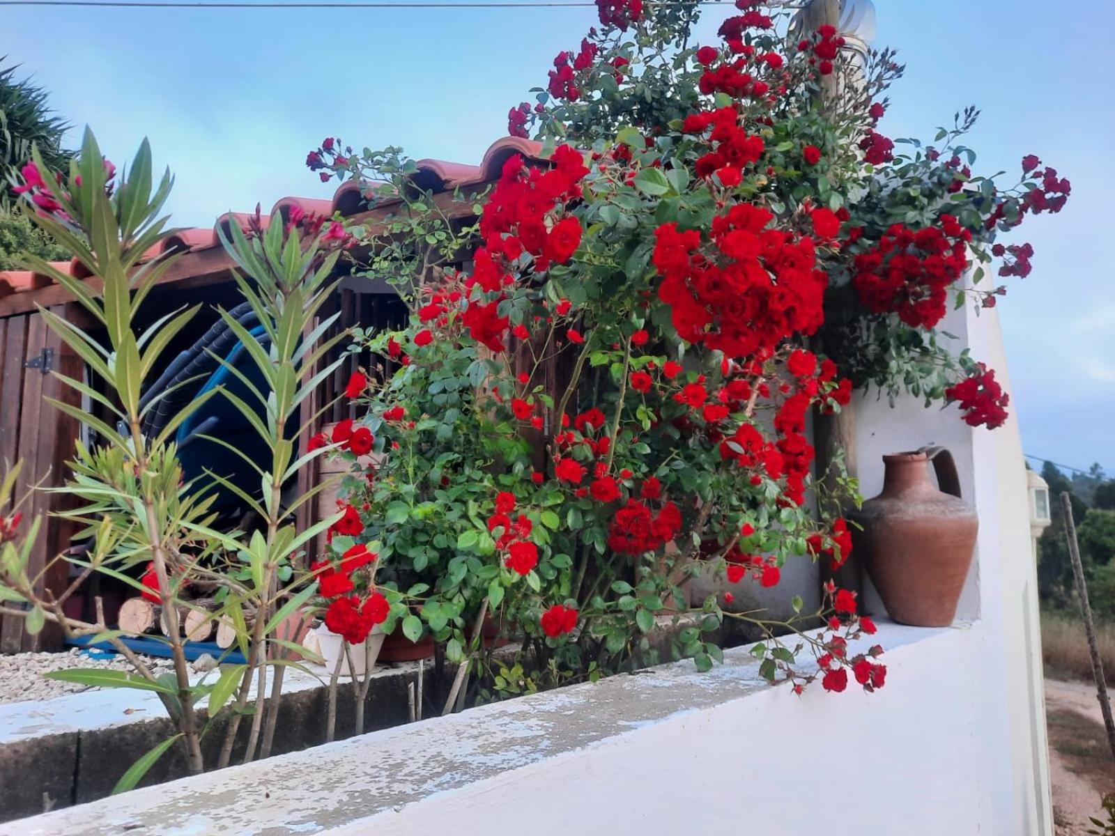 Casa Do Brejao Campo E Praia Odemira Zewnętrze zdjęcie